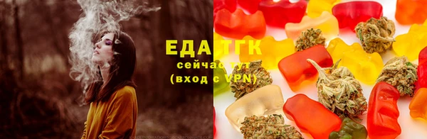 прущие грибы Медвежьегорск
