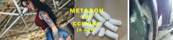 прущие грибы Медвежьегорск