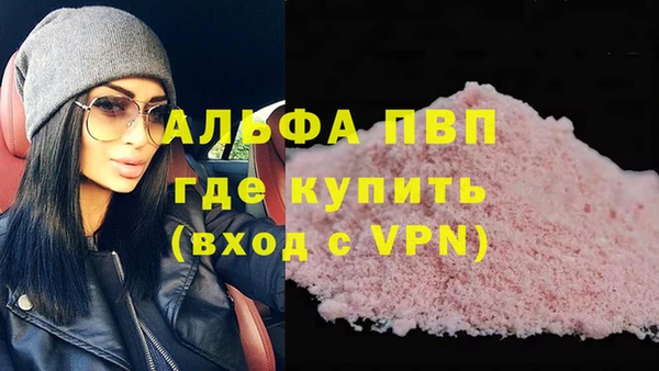 прущие грибы Медвежьегорск