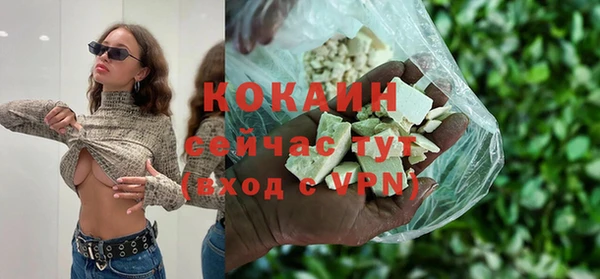 прущие грибы Медвежьегорск