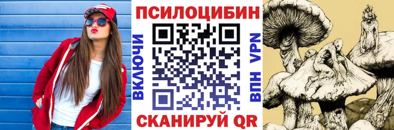 Псилоцибиновые грибы Cubensis  Каневская 